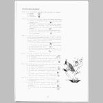 bierzeitung 05.gif